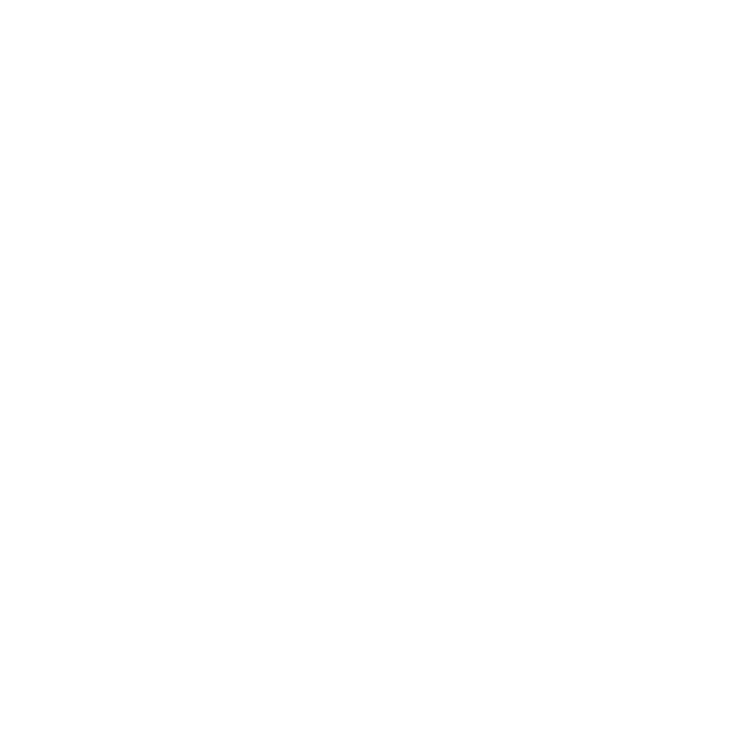 rub collector logo alterno